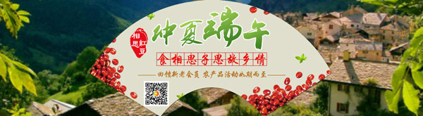 东莞网络公司